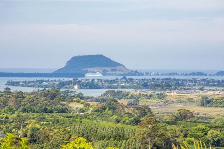 Photo of property in 23 Dawn View Place, Minden, Tauranga, 3176