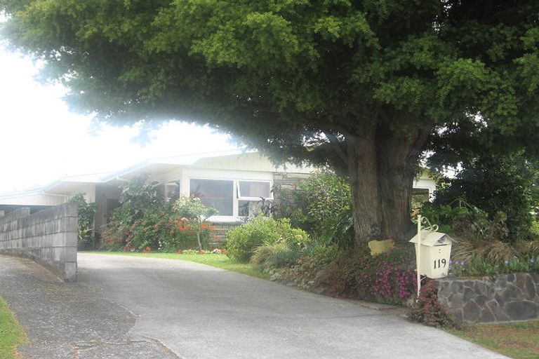Photo of property in 119 Boucher Avenue, Te Puke, 3119