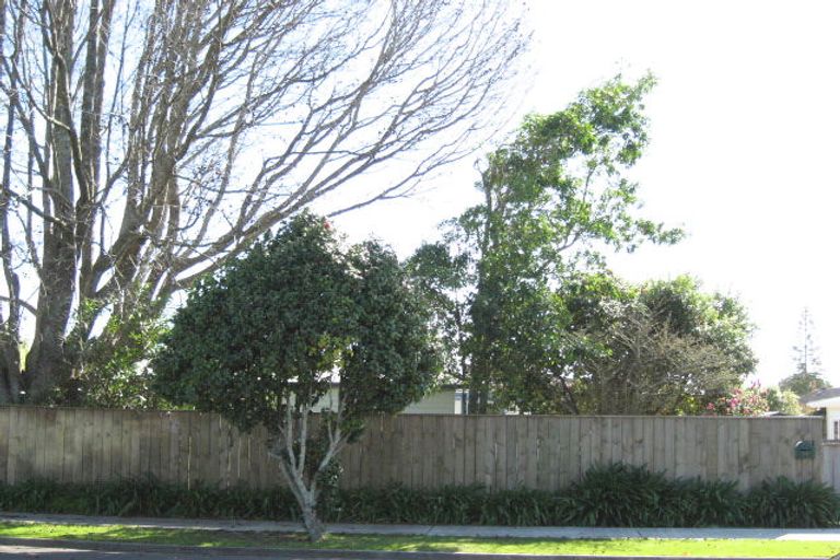 Photo of property in 62 Peace Street, Whakatane, 3120
