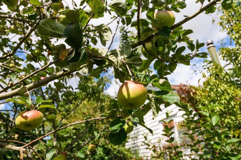 Photo of property in 9 Lambert Street, Marton, 4710