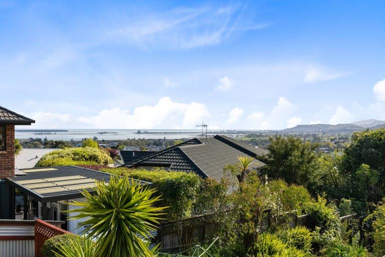 Photo of property in 6 Cresswell Place, Richmond, 7020