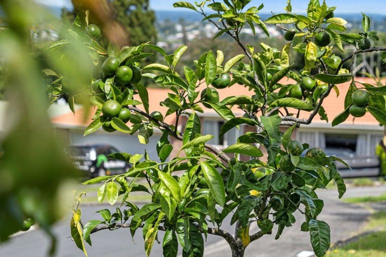 Photo of property in 34 Redmond Street, Judea, Tauranga, 3110