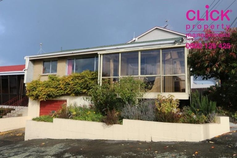 Photo of property in 17 Edwin Street, Caversham, Dunedin, 9012