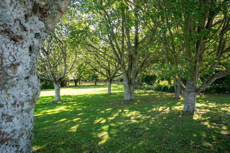 Photo of property in 489 Fencourt Road, Cambridge, 3493