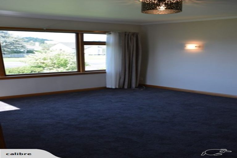 Photo of property in 17 Tinirau Street, Whanganui East, Whanganui, 4500