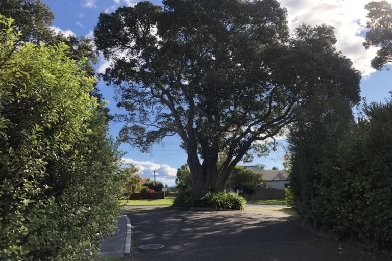 Photo of property in 49e Judea Road, Judea, Tauranga, 3110