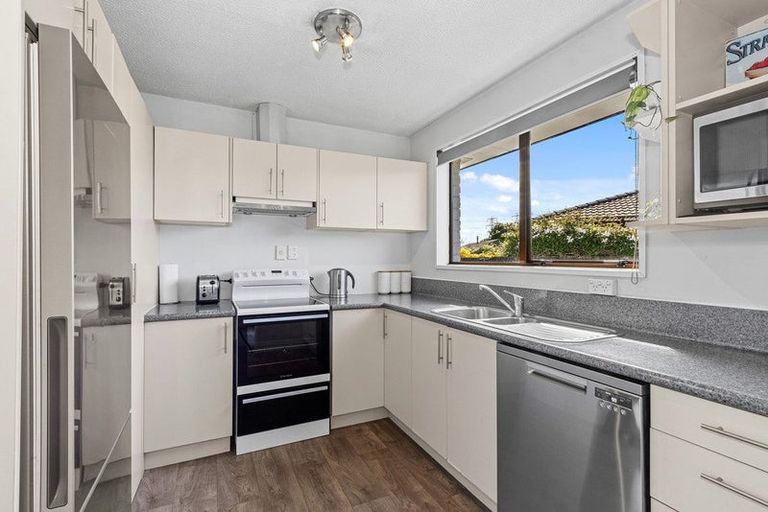 Photo of property in 22 Cicada Place, Hei Hei, Christchurch, 8042