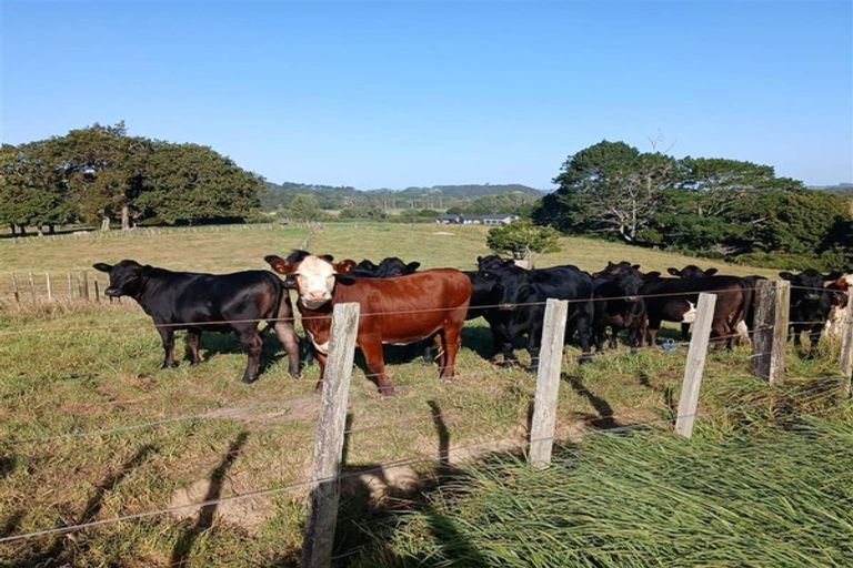 Photo of property in 88 Rapson Road, Kaukapakapa, 0871