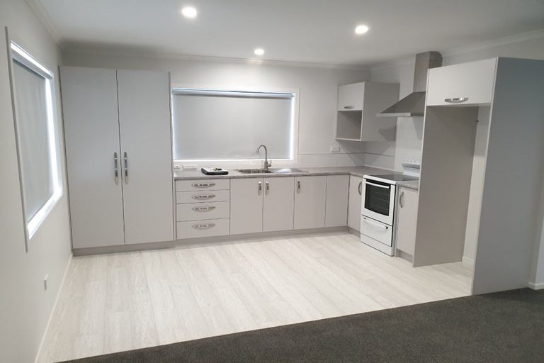 Photo of property in 67a York Street, Hamilton East, Hamilton, 3216