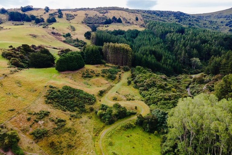 Photo of property in 191 Norwood Street, Normanby, Dunedin, 9010