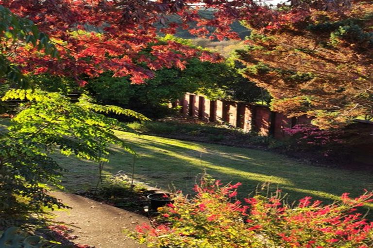 Photo of property in 11 Carnie Street, Gate Pa, Tauranga, 3112