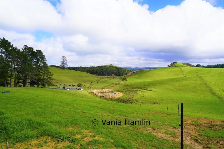 Photo of property in 533 Pataua South Road, Pataua South, Onerahi, 0192