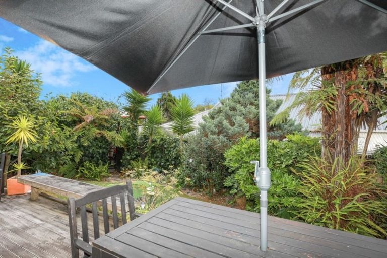 Photo of property in 5 Thomson Avenue, Dinsdale, Hamilton, 3204