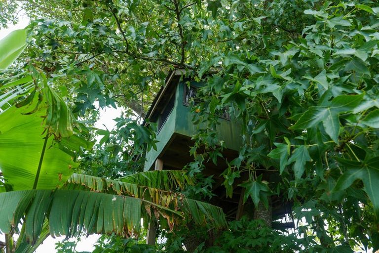 Photo of property in 98 Pulham Road, Warkworth, 0910