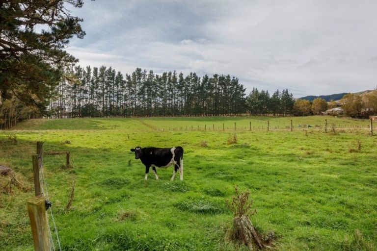 Photo of property in 360 Scotts Road, Linton, Palmerston North, 4472