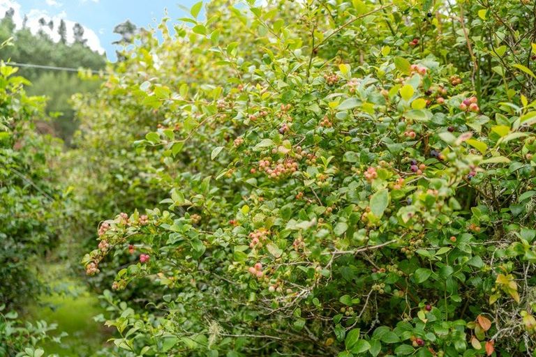 Photo of property in 1229a Akatarawa Road, Akatarawa, Upper Hutt, 5372