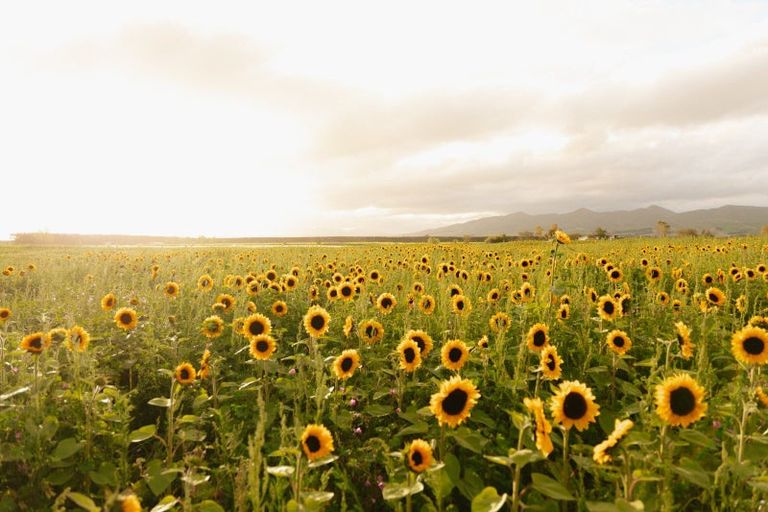 Photo of property in 246 Georges Road, Glasnevin, Amberley, 7482