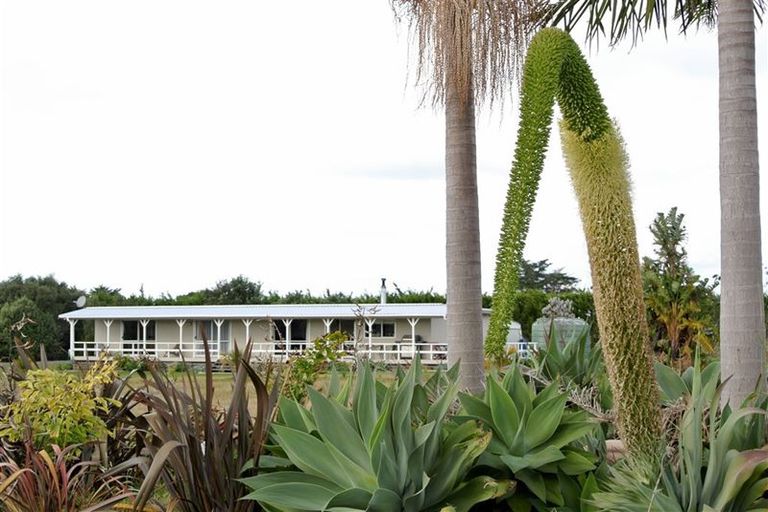 Photo of property in 25 Wagener Grove, Pukenui, Kaitaia, 0484