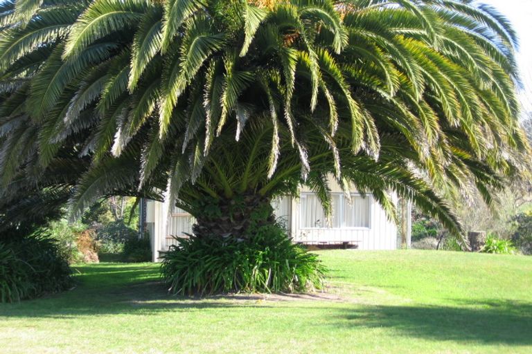 Photo of property in 38 Riverview Road, Cooks Beach, Whitianga, 3591