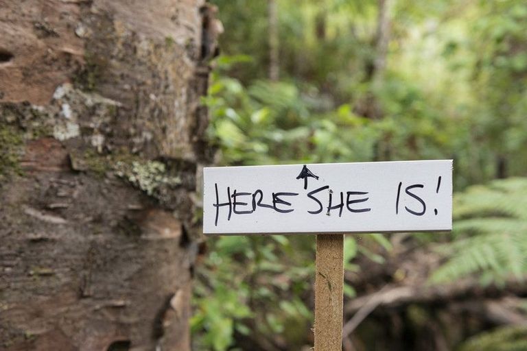 Photo of property in 27 Lett Road, Snells Beach, 0920