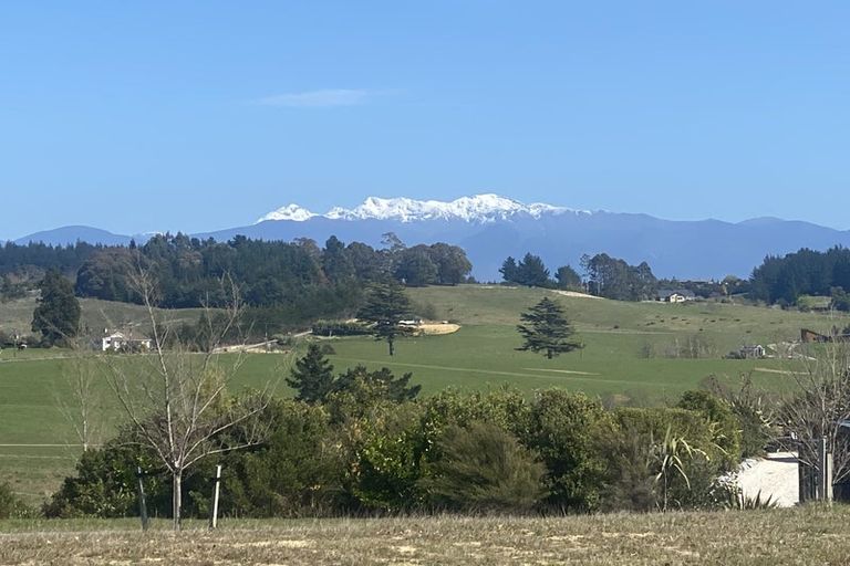 Photo of property in 4 Honey Lane, Tasman, 7173