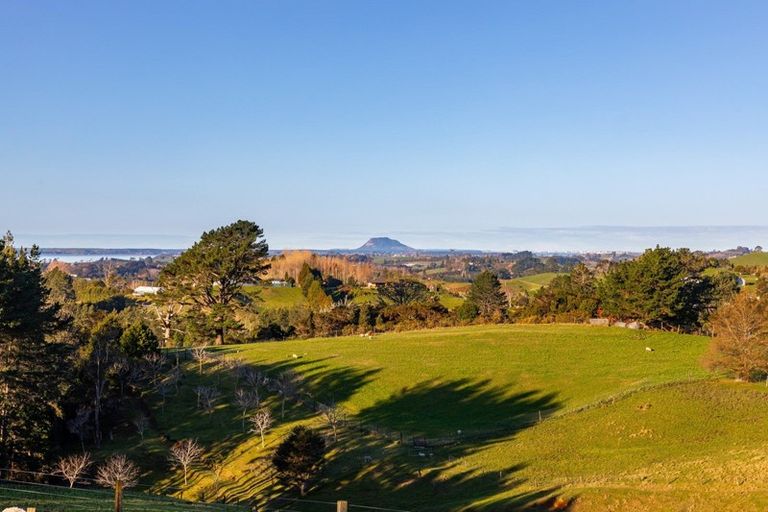 Photo of property in 163 Upland Road, Aongatete, Katikati, 3181