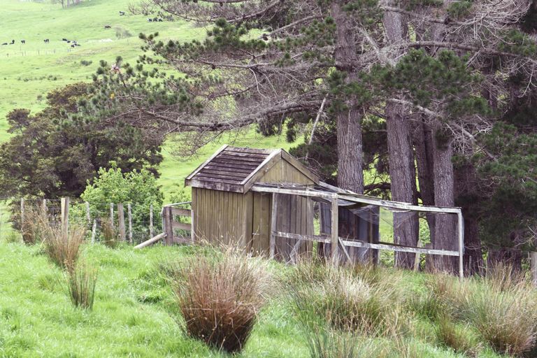 Photo of property in 16f Wellsford Valley Road, Wellsford, 0900