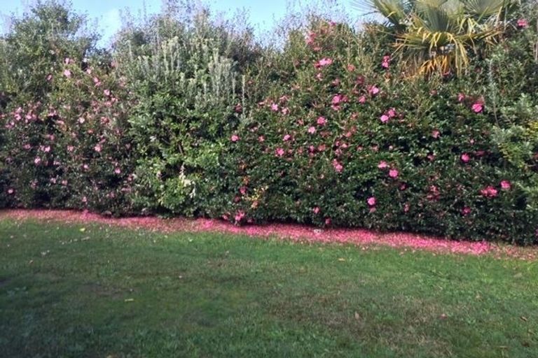 Photo of property in 10 Hornsea Road, Tairua, 3508