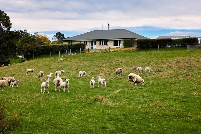 Photo of property in 66 Deer Park Road, Cheviot, 7310