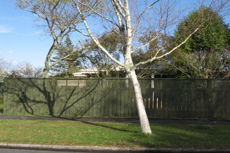 Photo of property in 18 Young Street, Claudelands, Hamilton, 3214