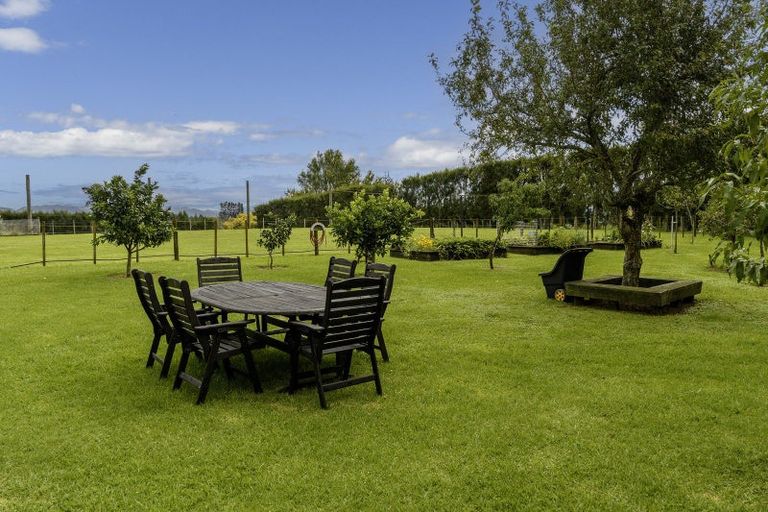 Photo of property in 557 Esdaile Road, Whakamarama, Tauranga, 3180