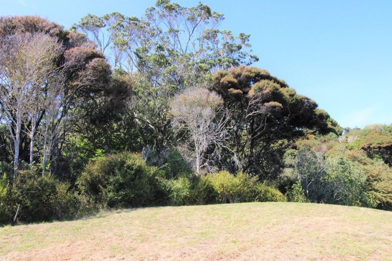 Photo of property in 19 Cuvier Crescent, Kuaotunu West, Whitianga, 3592