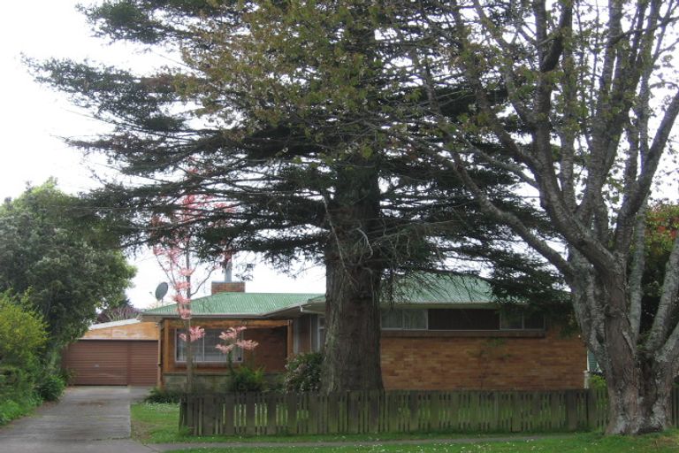 Photo of property in 68 Rawhiti Avenue, Matamata, 3400