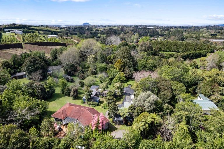 Photo of property in 31 Te Puna Quarry Road, Minden, Tauranga, 3179