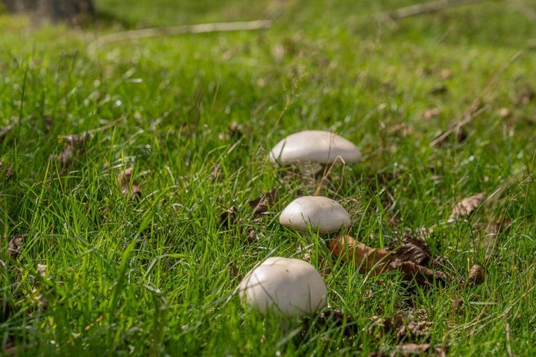 Photo of property in 425n Boat Harbour Road, Whenuakite, Whitianga, 3591