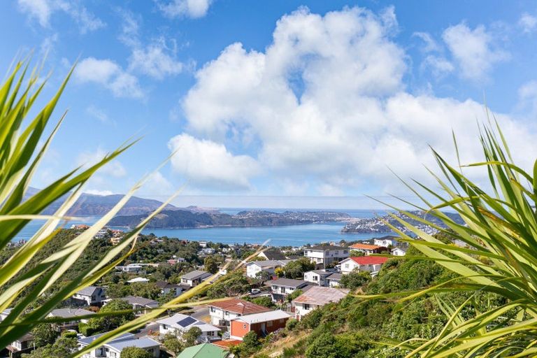 Photo of property in 11 Hindipur Terrace, Broadmeadows, Wellington, 6035