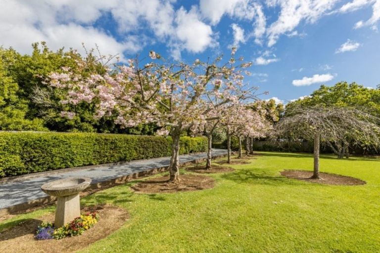 Photo of property in 19d Mission Road, Kerikeri, 0230
