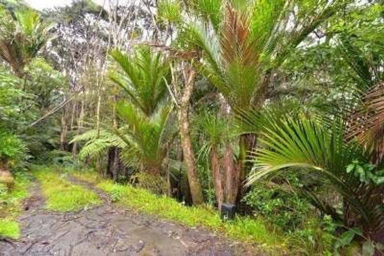 Photo of property in 86 Huia Road, Titirangi, Auckland, 0604