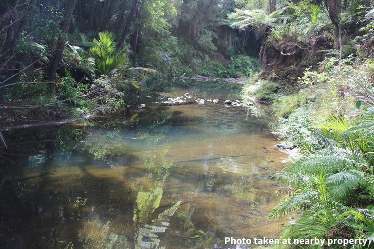 Photo of property in 411a Henderson Valley Road, Henderson Valley, Auckland, 0612