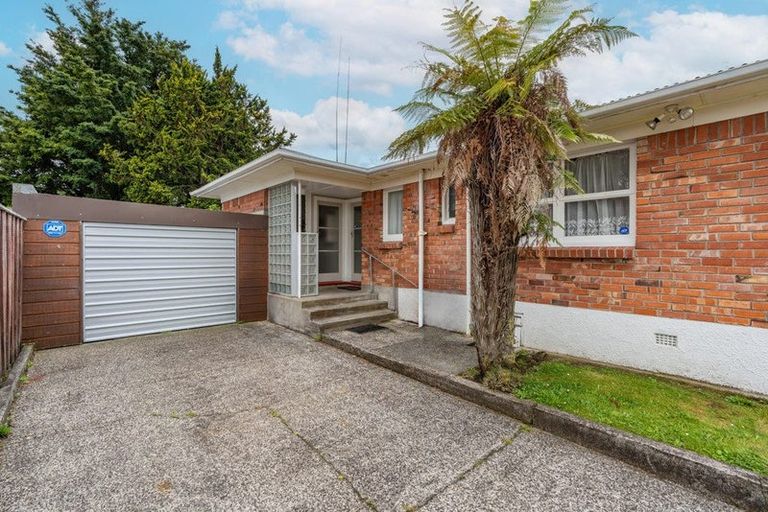 Photo of property in 145 Galloway Street, Hamilton East, Hamilton, 3216