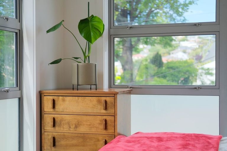 Photo of property in 79 North Road, North East Valley, Dunedin, 9010