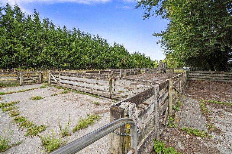 Photo of property in 373 Colyton Road, Colyton, Feilding, 4775