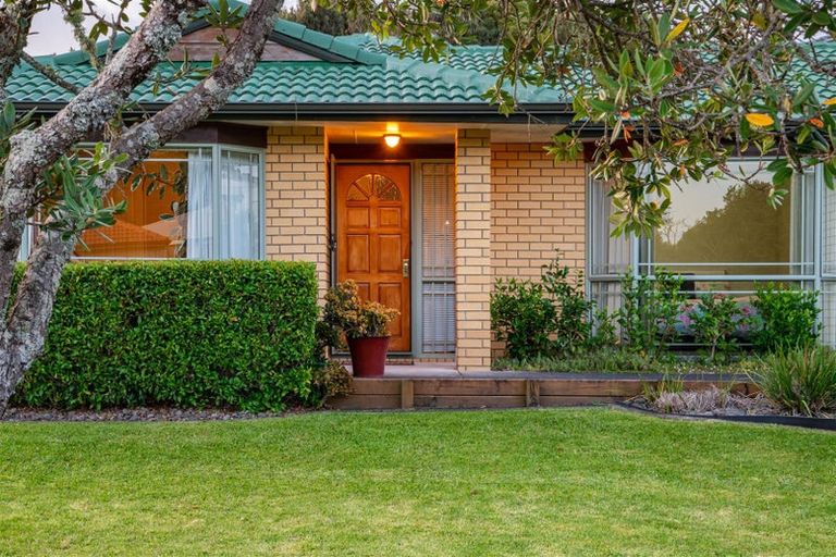 Photo of property in 120 Buscomb Avenue, Henderson, Auckland, 0610