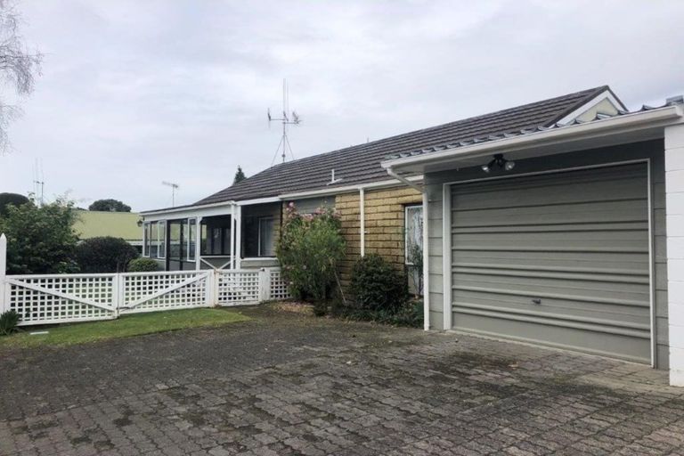 Photo of property in 141a Boucher Avenue, Te Puke, 3119