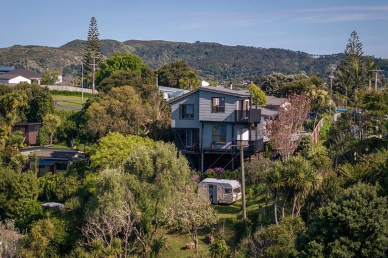 Photo of property in 1 Bay View Road, Raglan, 3225