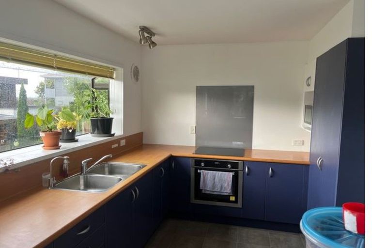 Photo of property in 119 Amanda Avenue, Dinsdale, Hamilton, 3204