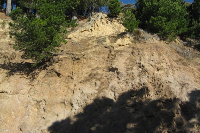 Photo of property in 239b Beach Road, Akaroa, 7520