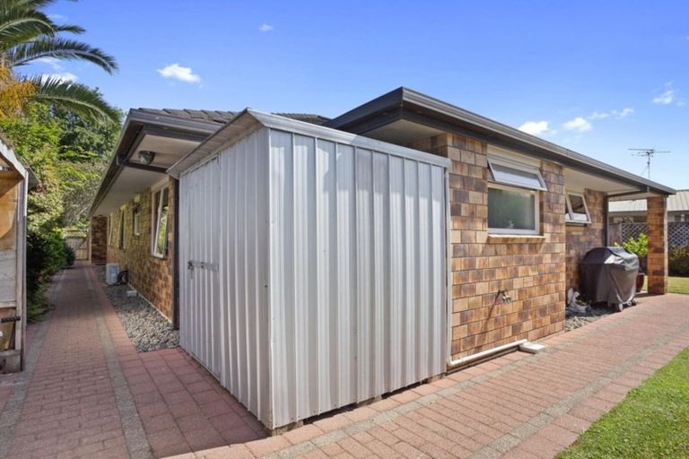 Photo of property in 17 Belmont Rise, Katikati, 3129