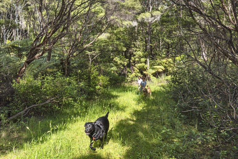 Photo of property in 18 Stevensons Crescent, Albany Heights, Albany, 0793