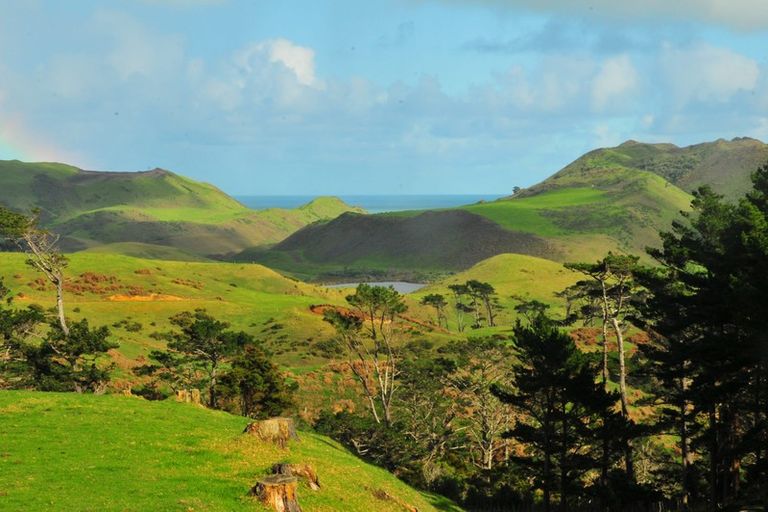 Photo of property in 1243 Awhitu Road, Pollok, Waiuku, 2684